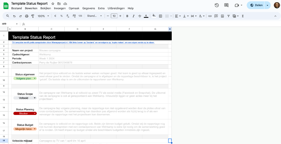 Template Status report voorbeeld